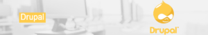 drupal-page