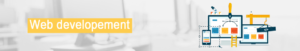 web-devlope-page
